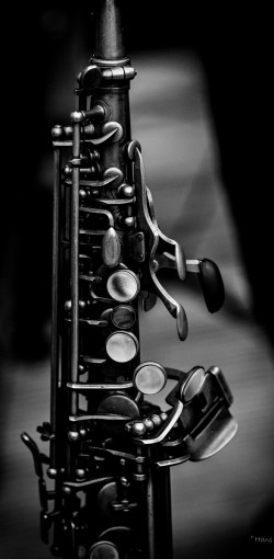 hage   jazz 3