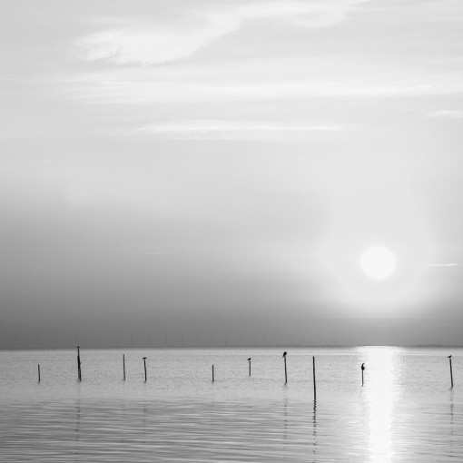 holland